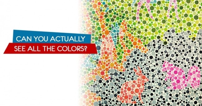 Can You Actually See All The Colors? 